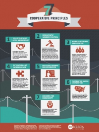7 Cooperative Principles Infographic 