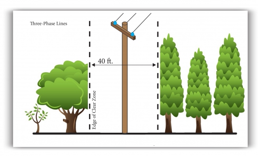 Three-Phase Lines